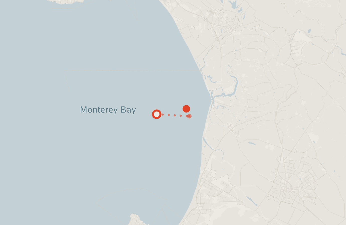 Activity map — real sighting points on an OpenStreetMap basemap