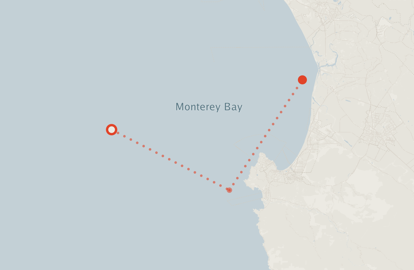 Activity map — real sighting points on an OpenStreetMap basemap