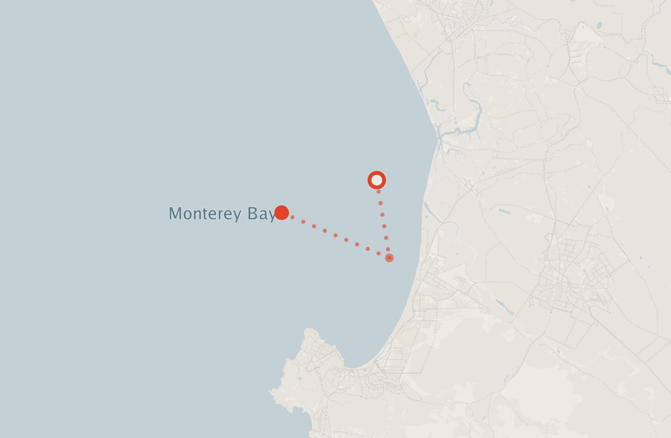 Activity map — real sighting points on an OpenStreetMap basemap