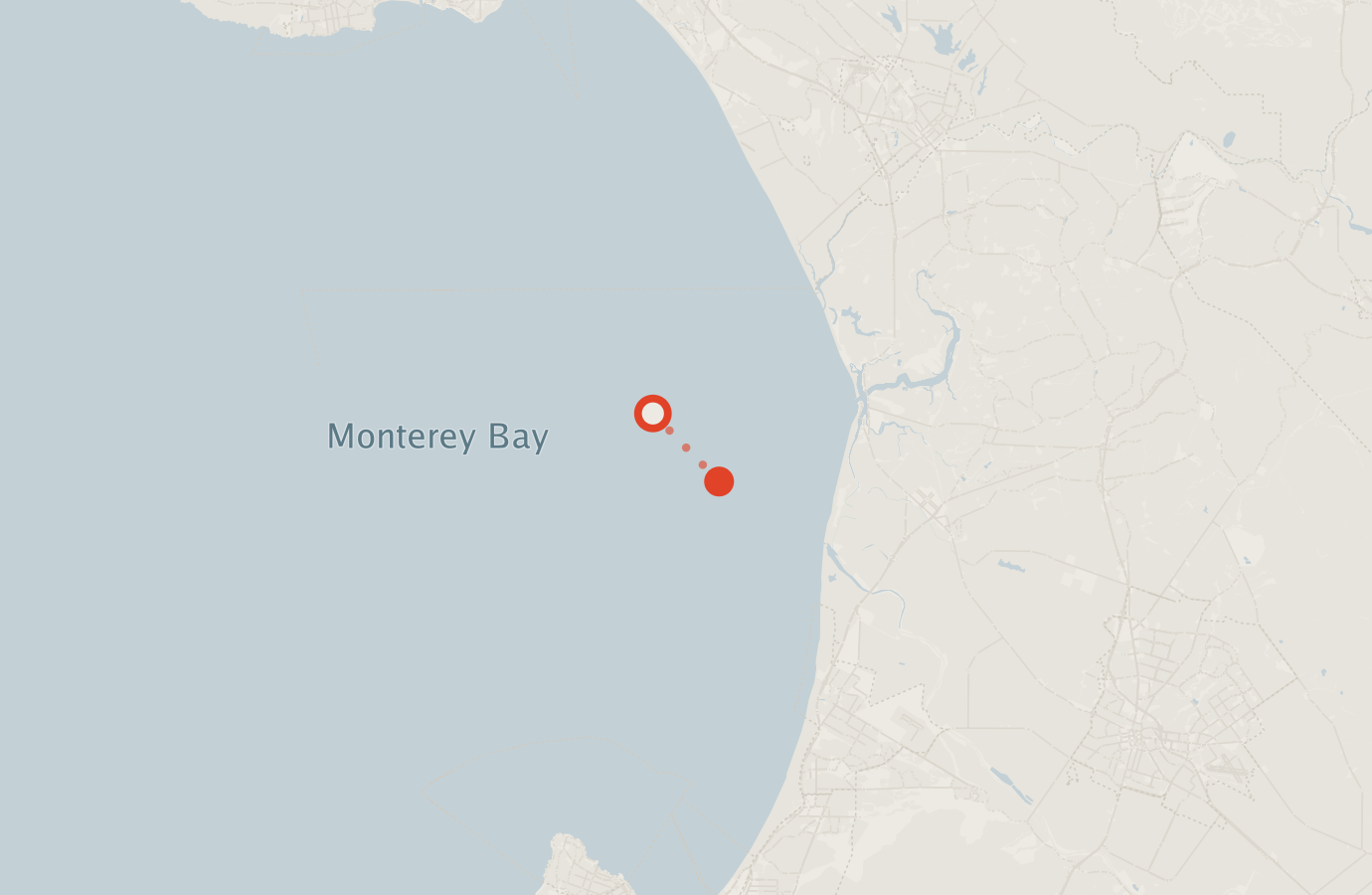 Activity map — real sighting points on an OpenStreetMap basemap