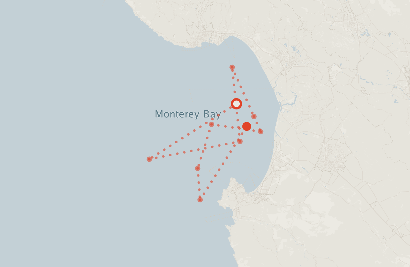 Activity map — real sighting points on an OpenStreetMap basemap