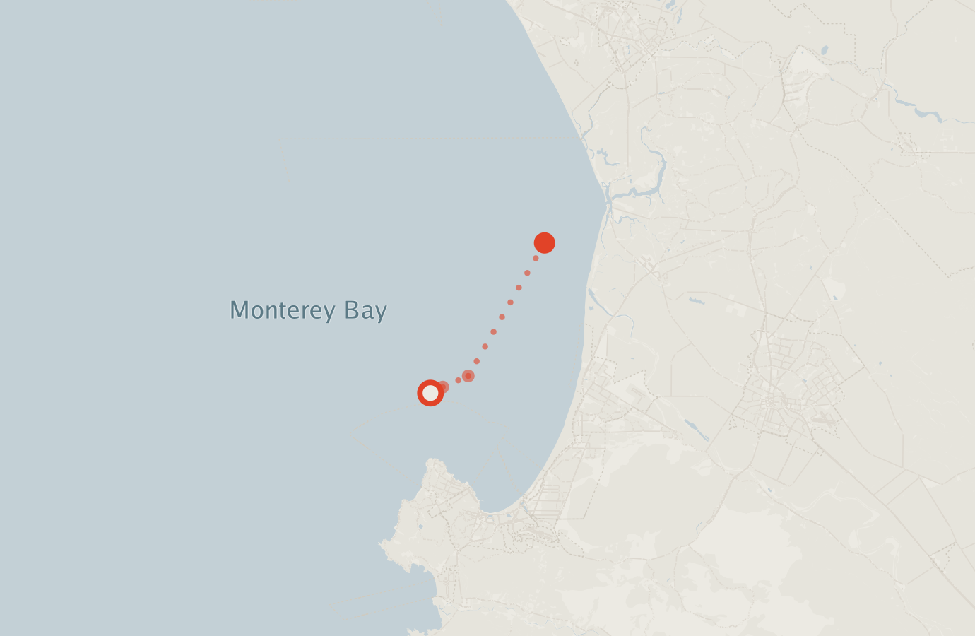 Activity map — real sighting points on an OpenStreetMap basemap