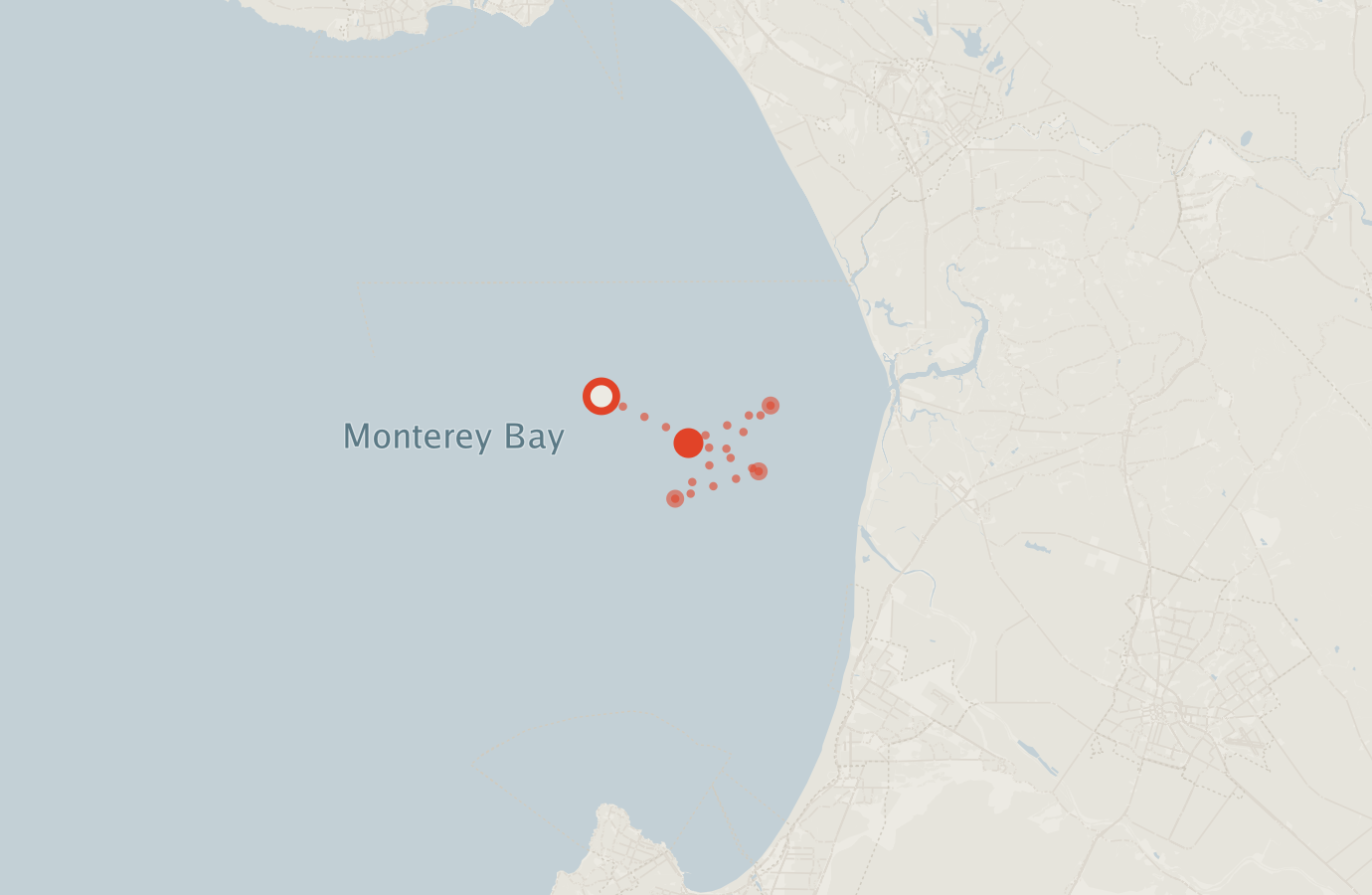 Activity map — real sighting points on an OpenStreetMap basemap