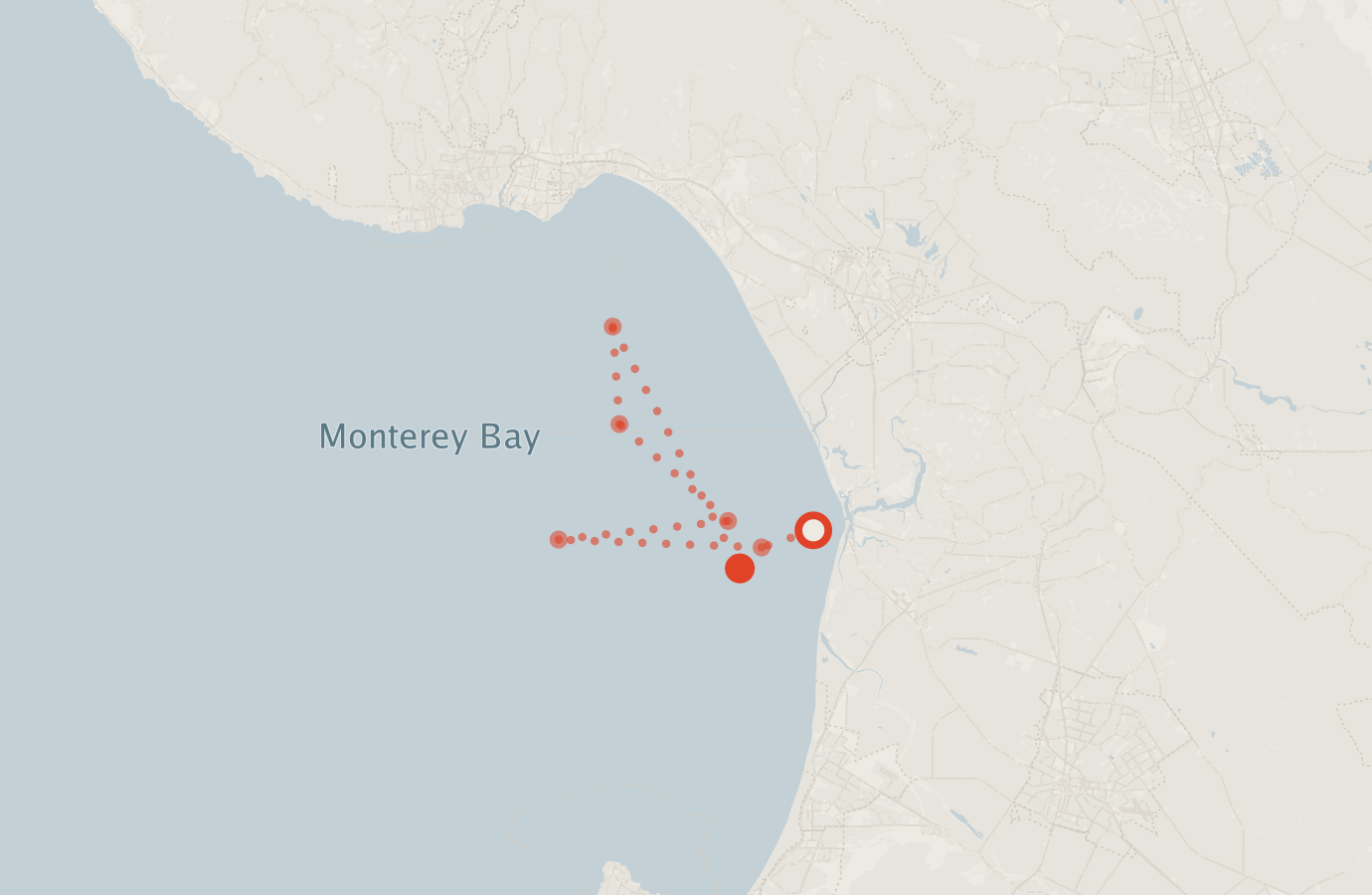 Activity map — real sighting points on an OpenStreetMap basemap