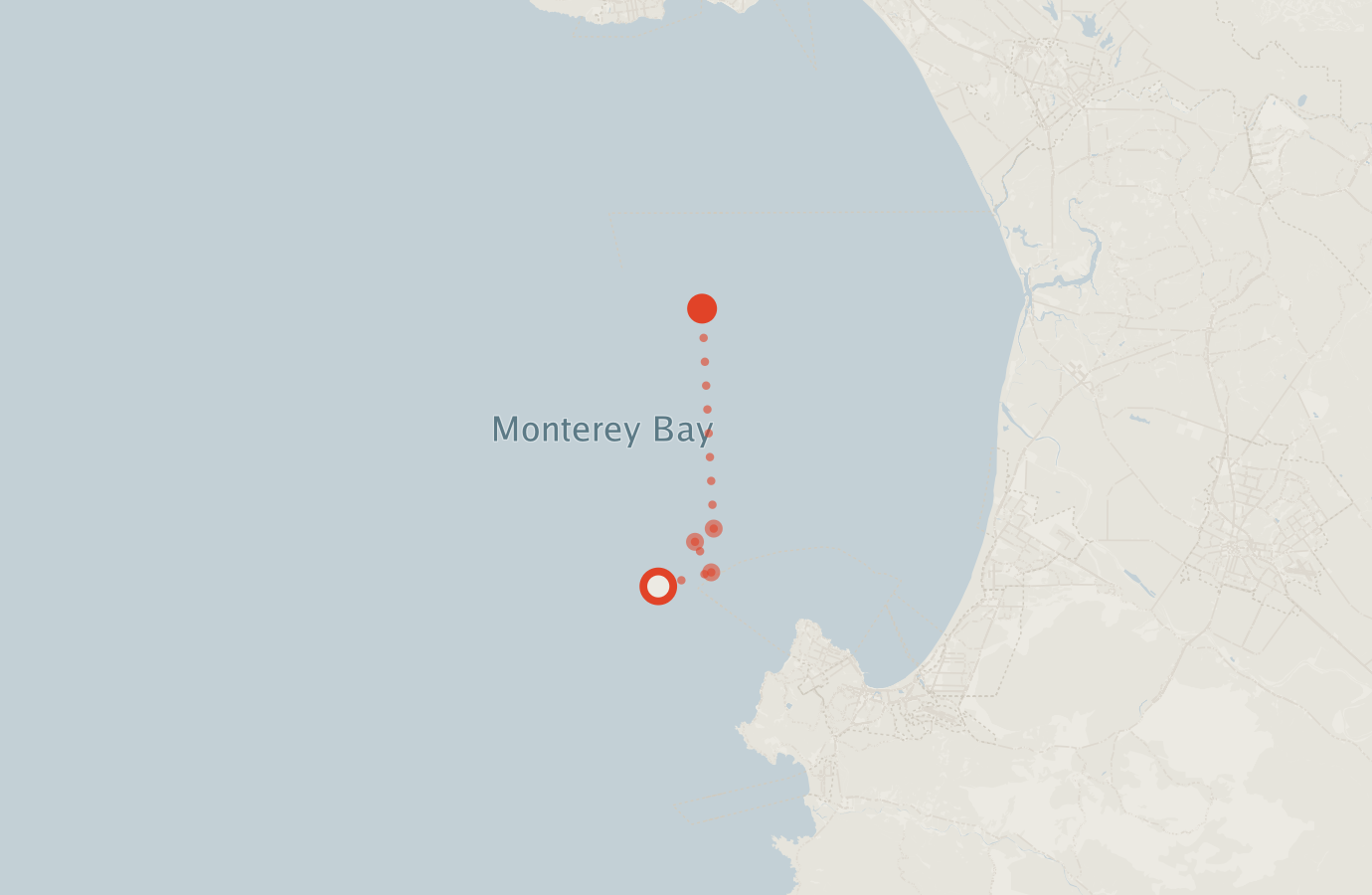 Activity map — real sighting points on an OpenStreetMap basemap