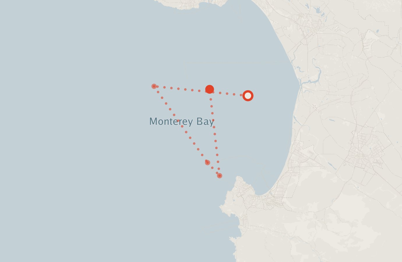 Activity map — real sighting points on an OpenStreetMap basemap