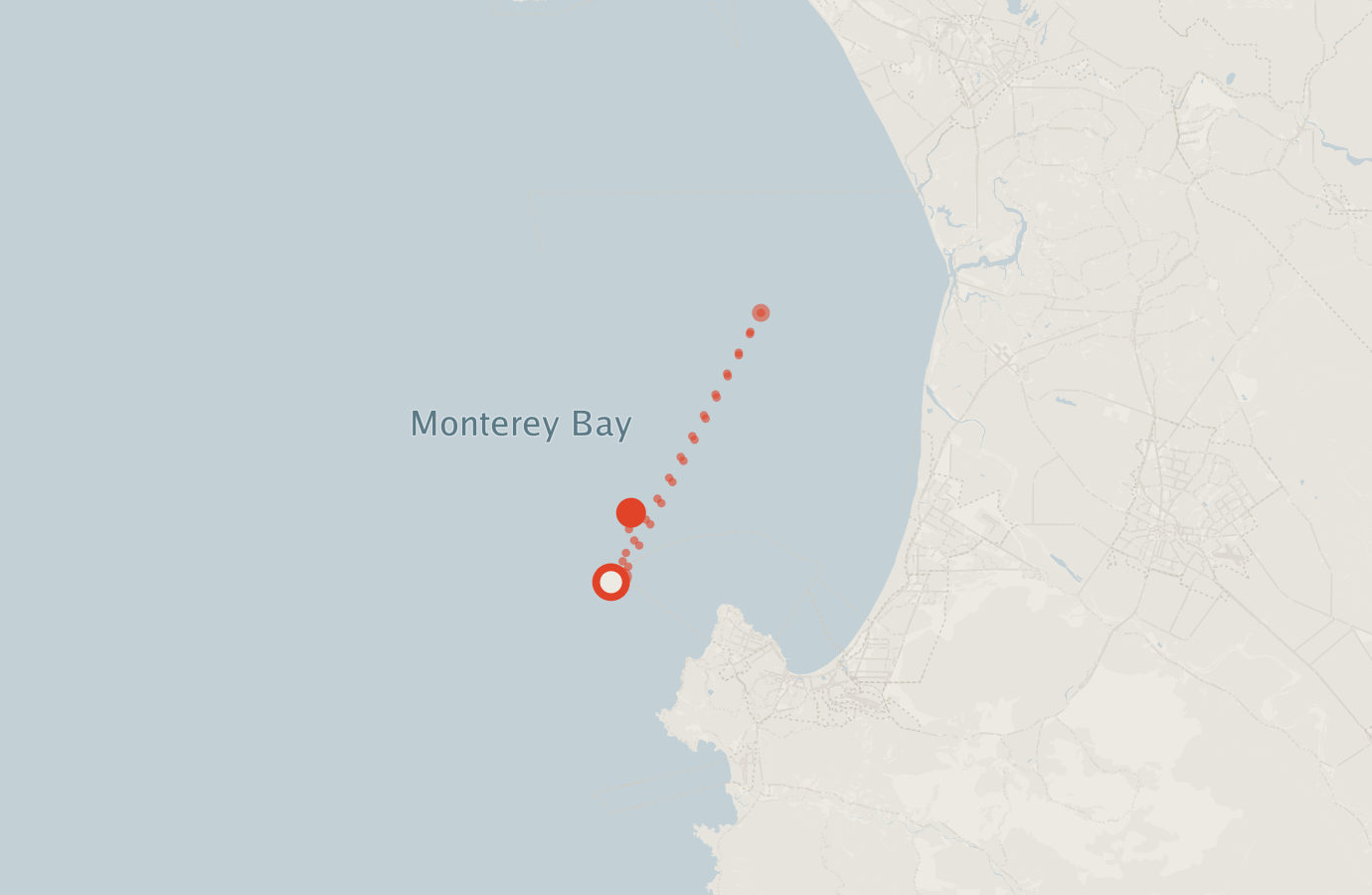 Activity map — real sighting points on an OpenStreetMap basemap