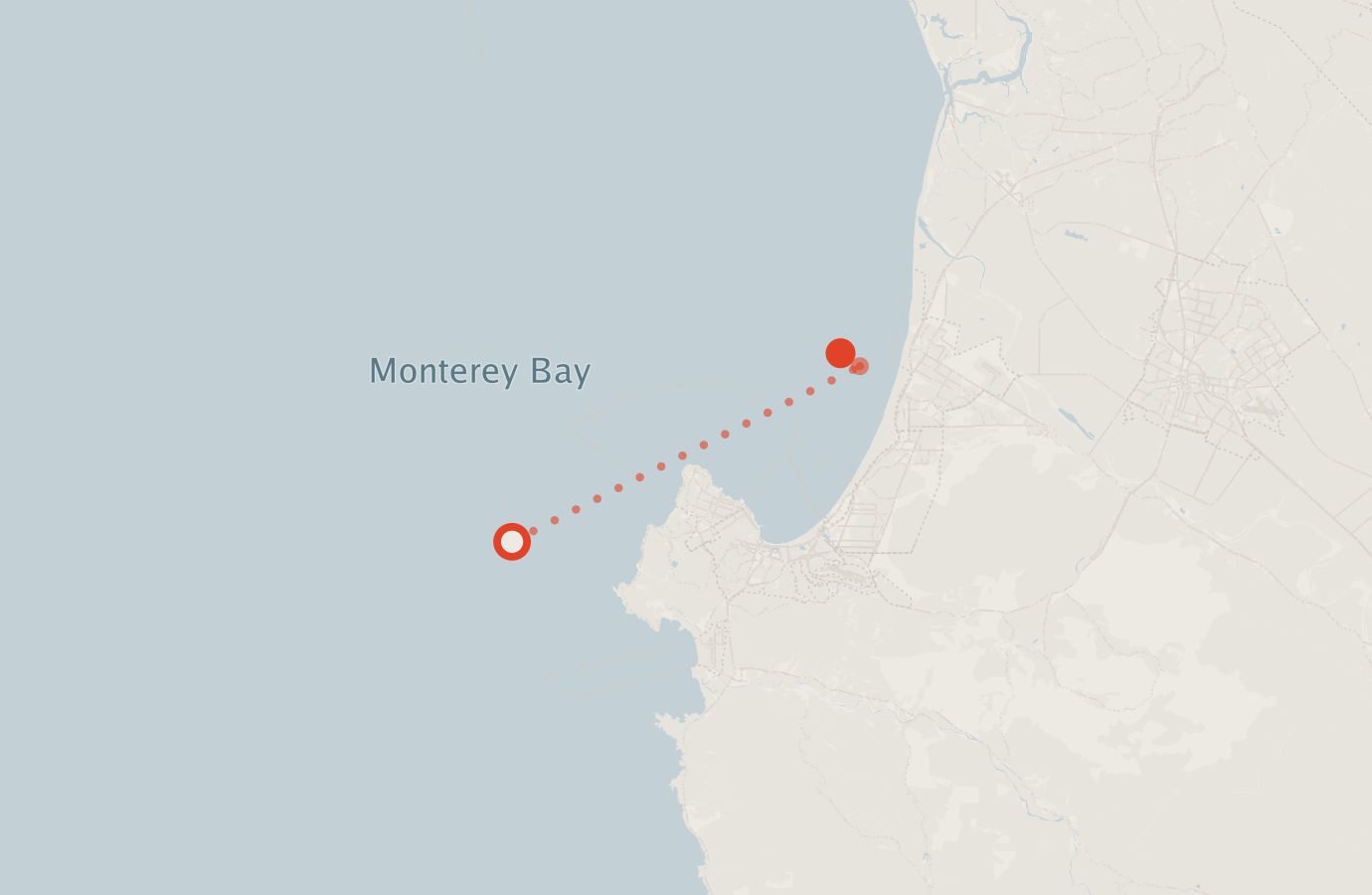 Activity map — real sighting points on an OpenStreetMap basemap