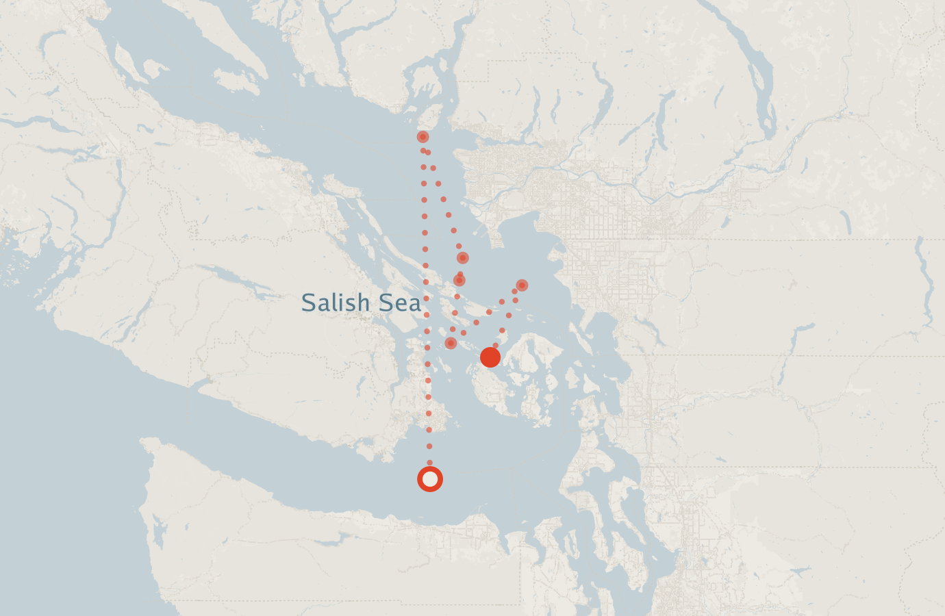 Activity map — real sighting points on an OpenStreetMap basemap