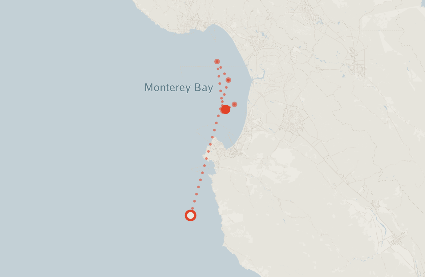Activity map — real sighting points on an OpenStreetMap basemap