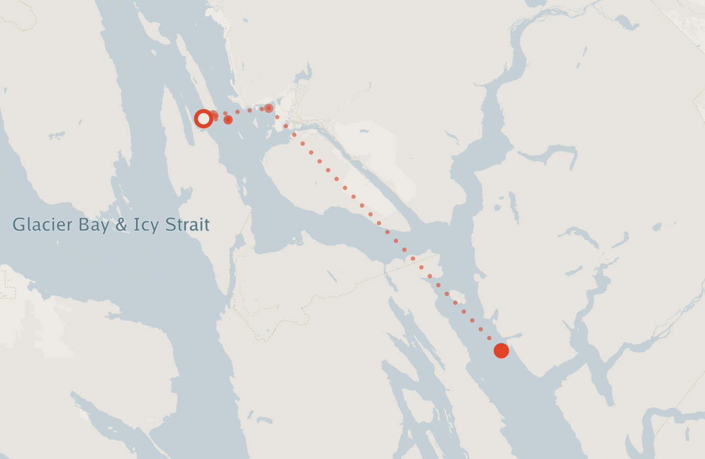 Activity map — real sighting points on an OpenStreetMap basemap