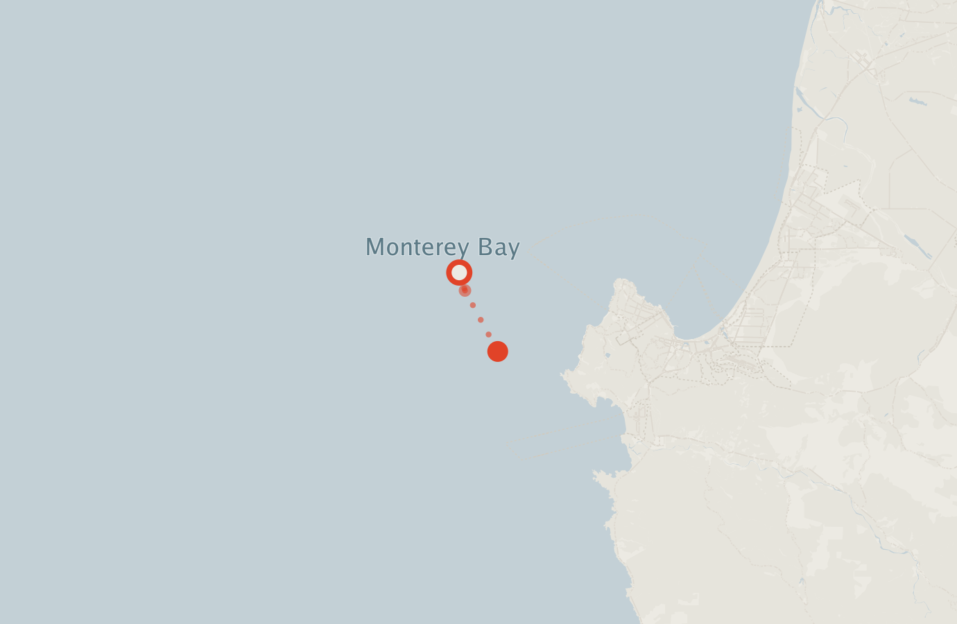 Activity map — real sighting points on an OpenStreetMap basemap