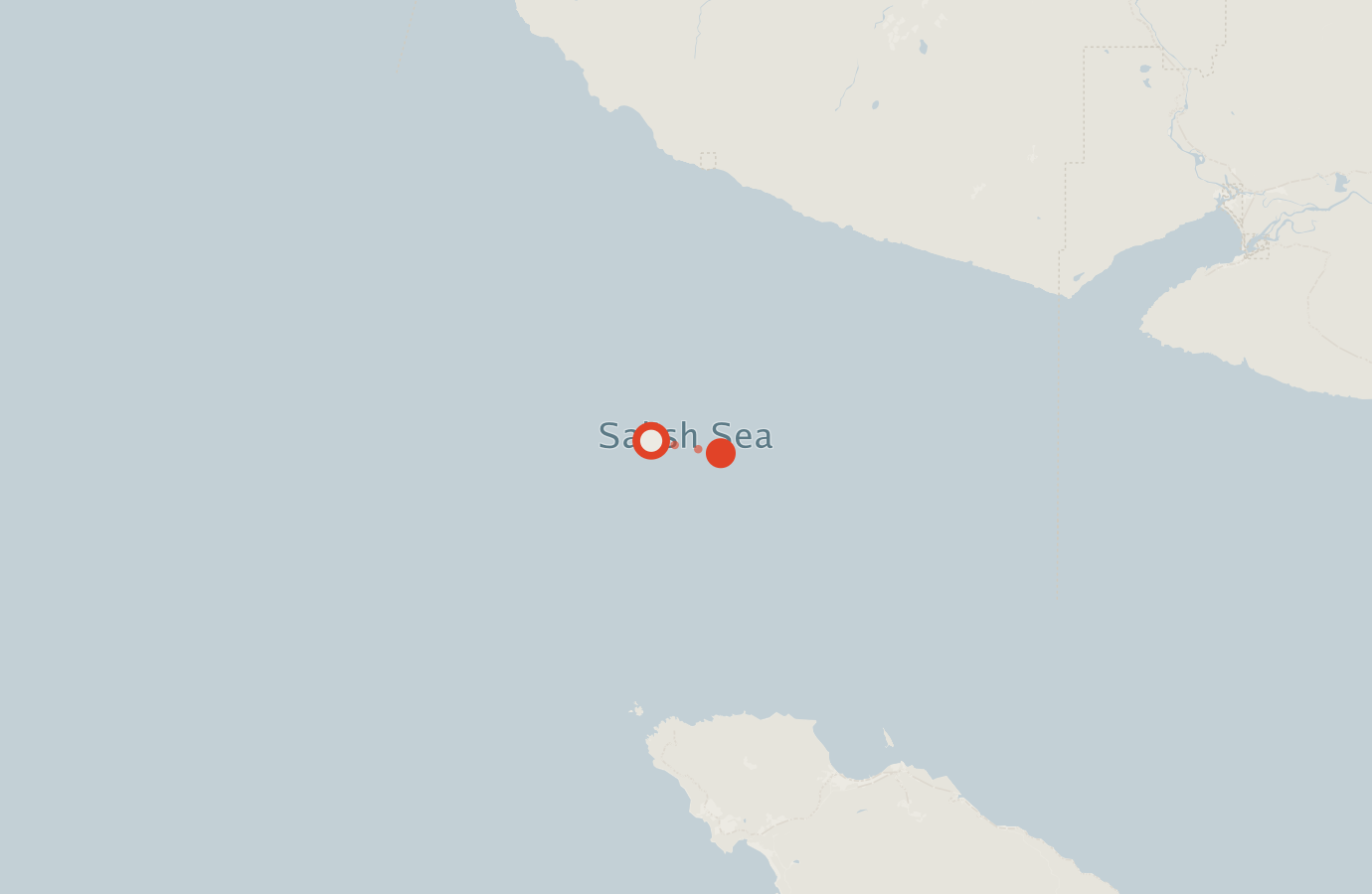 Activity map — real sighting points on an OpenStreetMap basemap