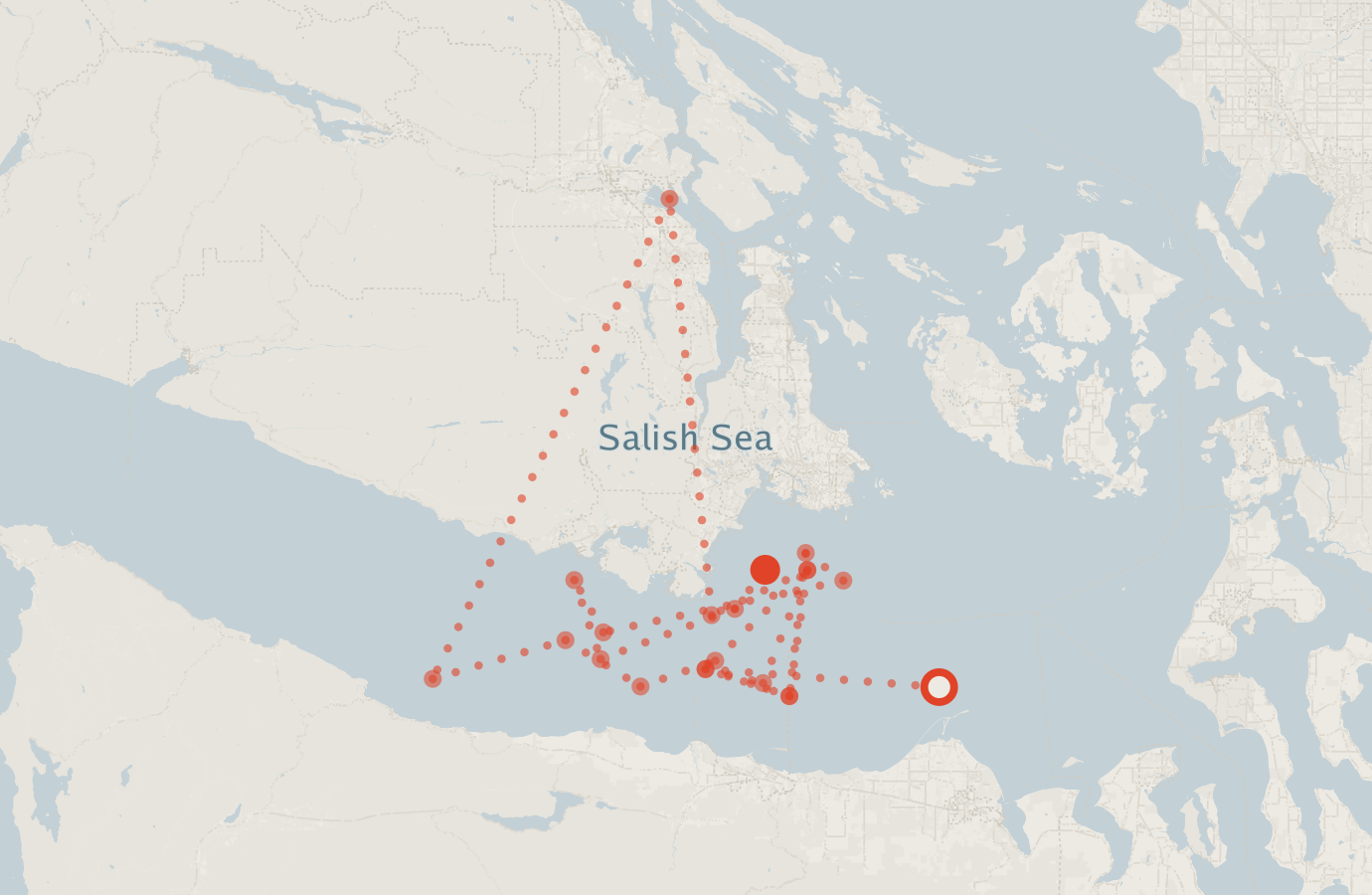 Activity map — real sighting points on an OpenStreetMap basemap