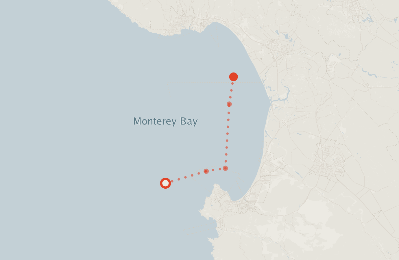 Activity map — real sighting points on an OpenStreetMap basemap