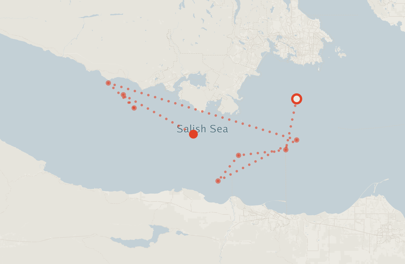 Activity map — real sighting points on an OpenStreetMap basemap