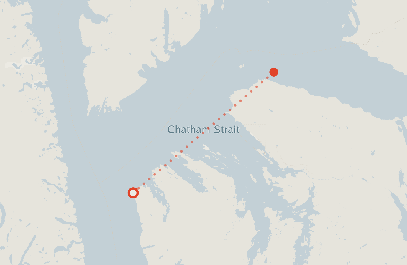 Activity map — real sighting points on an OpenStreetMap basemap