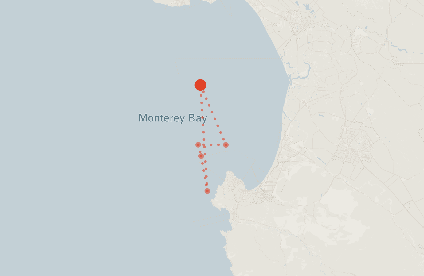 Activity map — real sighting points on an OpenStreetMap basemap