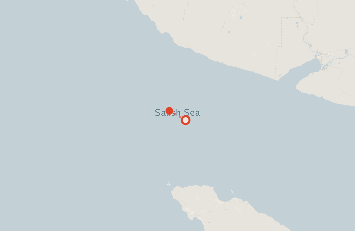 Activity map — real sighting points on an OpenStreetMap basemap