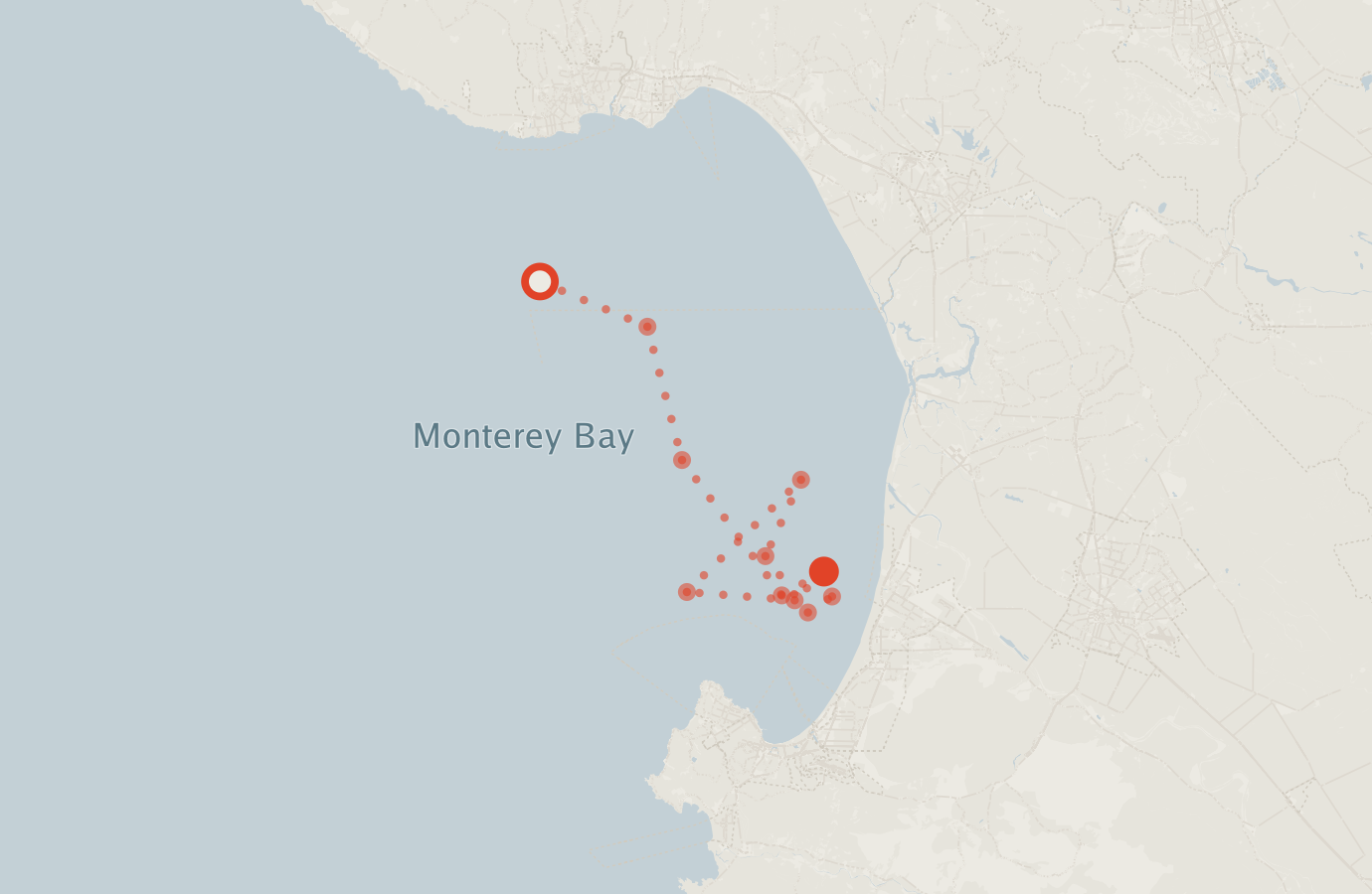 Activity map — real sighting points on an OpenStreetMap basemap