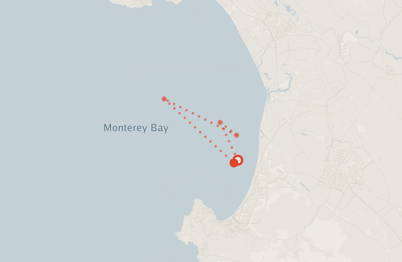 Activity map — real sighting points on an OpenStreetMap basemap