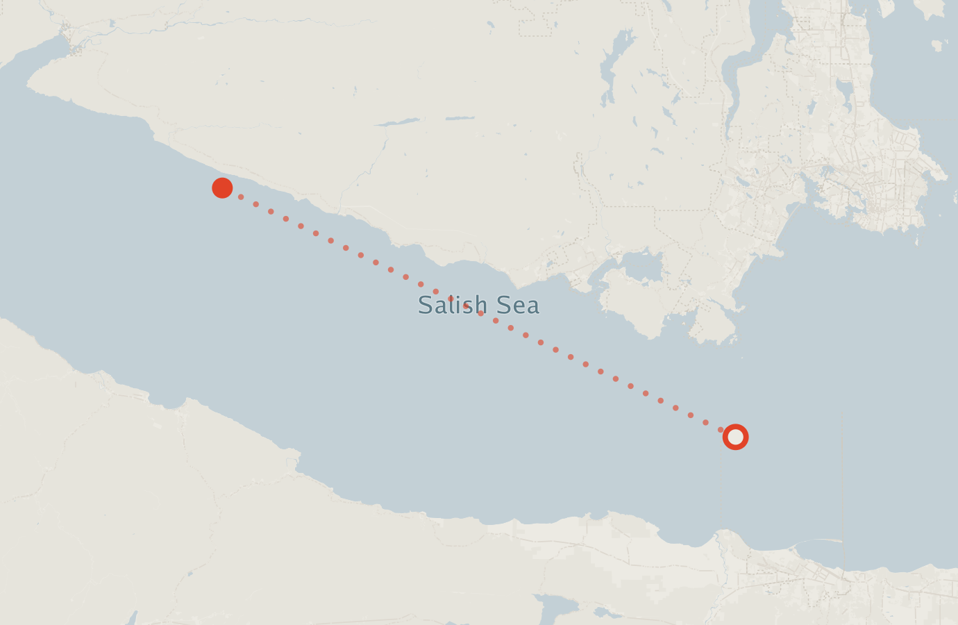 Activity map — real sighting points on an OpenStreetMap basemap