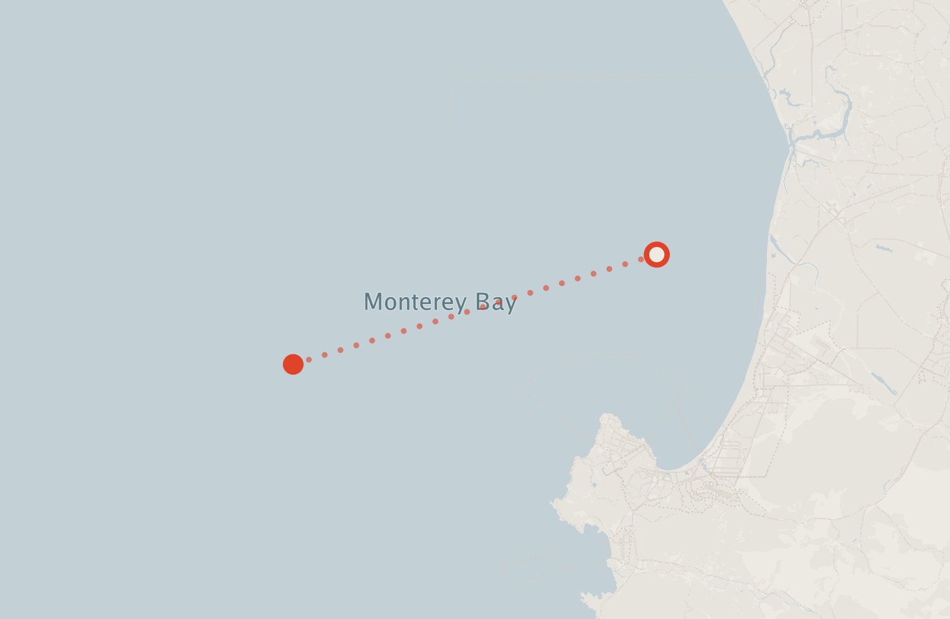Activity map — real sighting points on an OpenStreetMap basemap