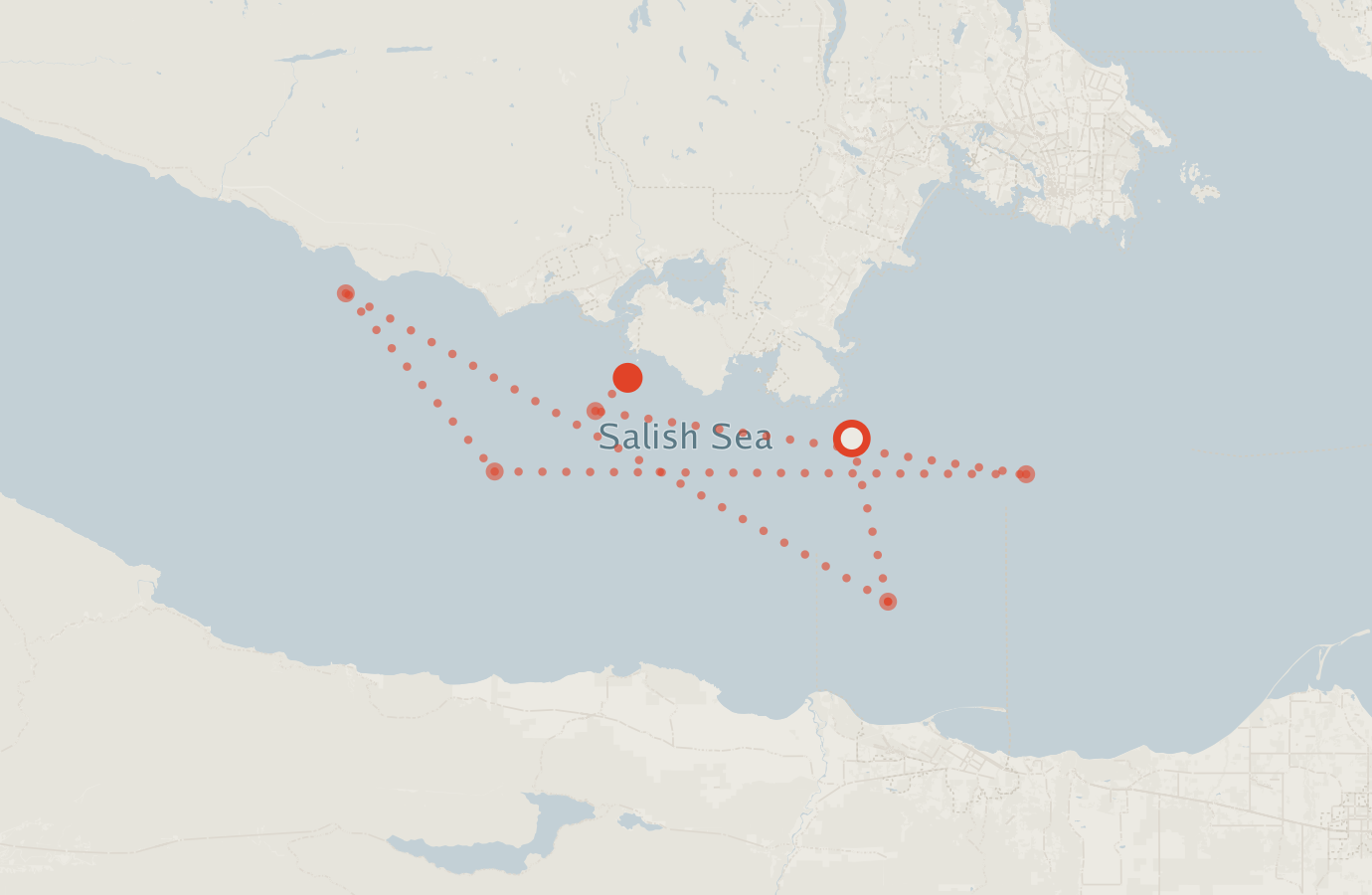 Activity map — real sighting points on an OpenStreetMap basemap