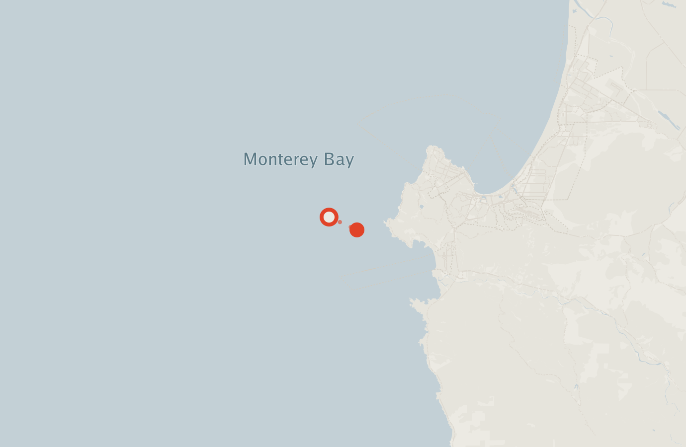 Activity map — real sighting points on an OpenStreetMap basemap