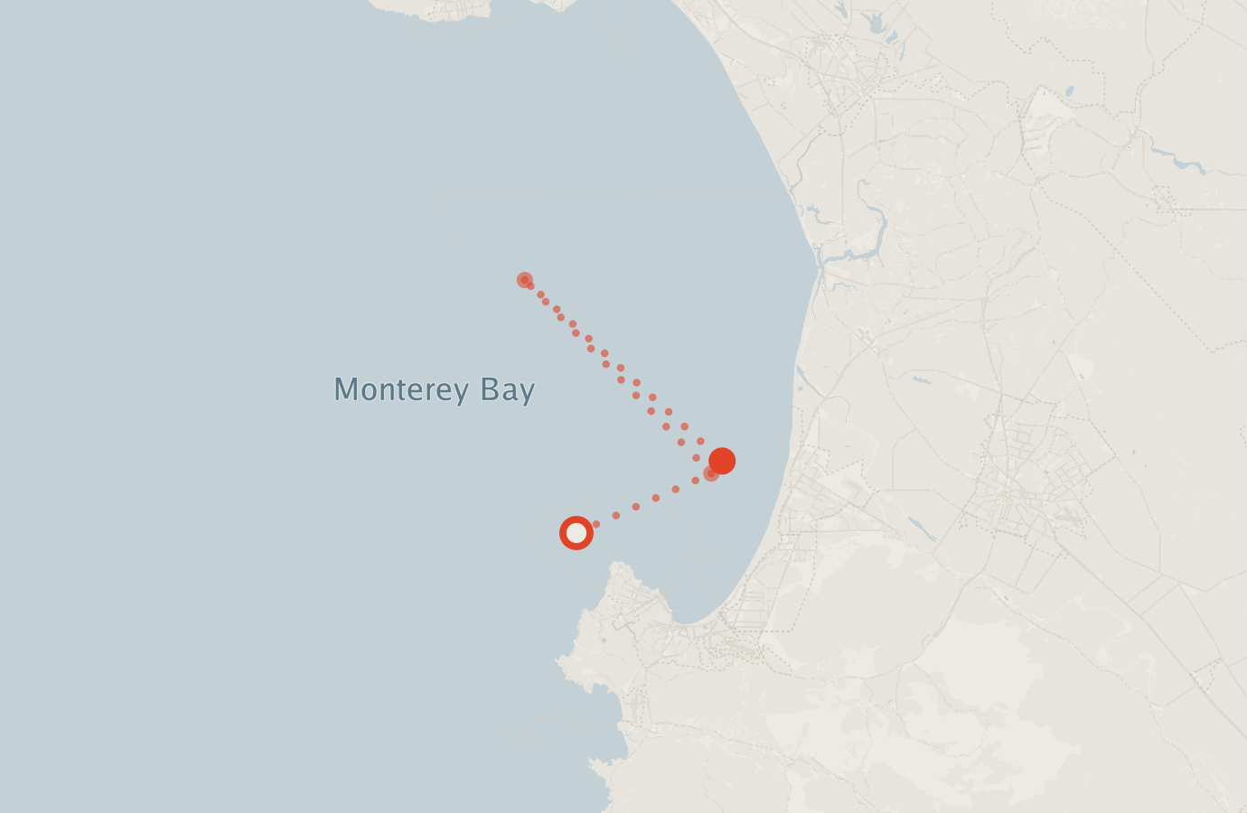 Activity map — real sighting points on an OpenStreetMap basemap