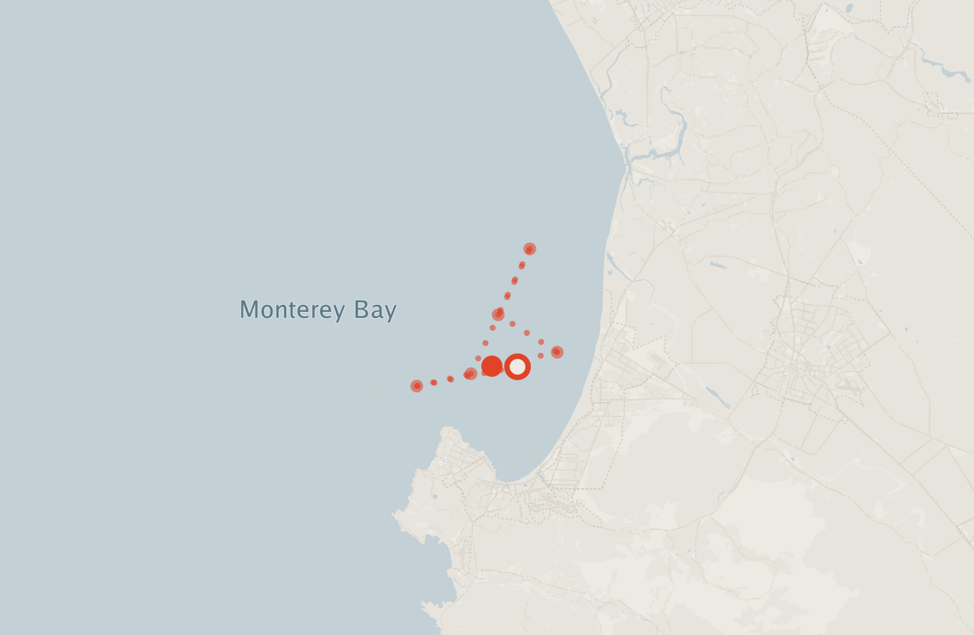 Activity map — real sighting points on an OpenStreetMap basemap