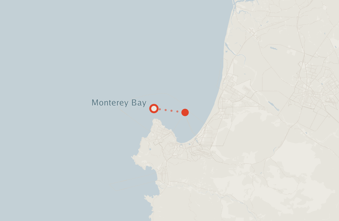 Activity map — real sighting points on an OpenStreetMap basemap