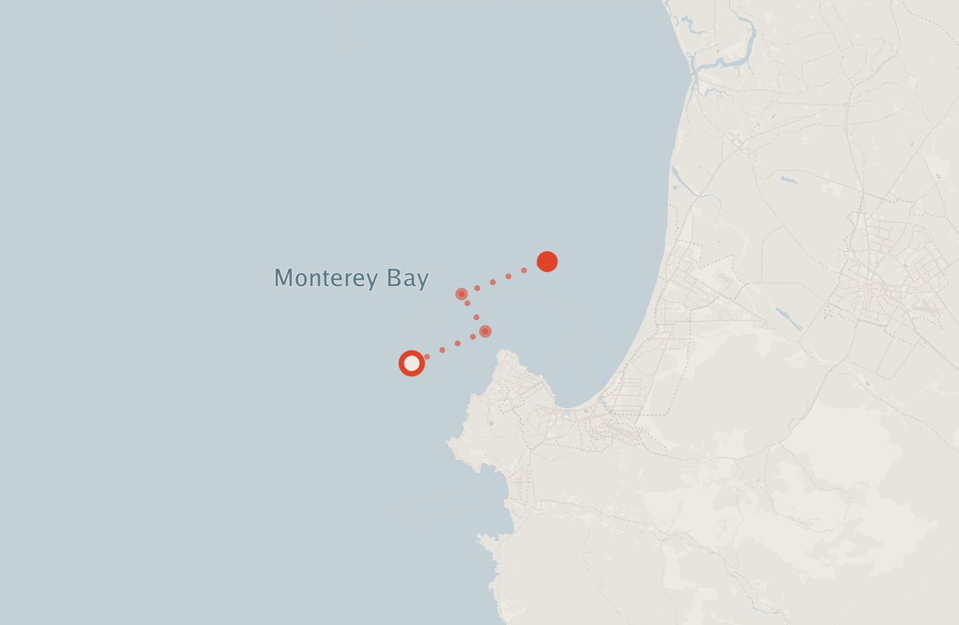 Activity map — real sighting points on an OpenStreetMap basemap