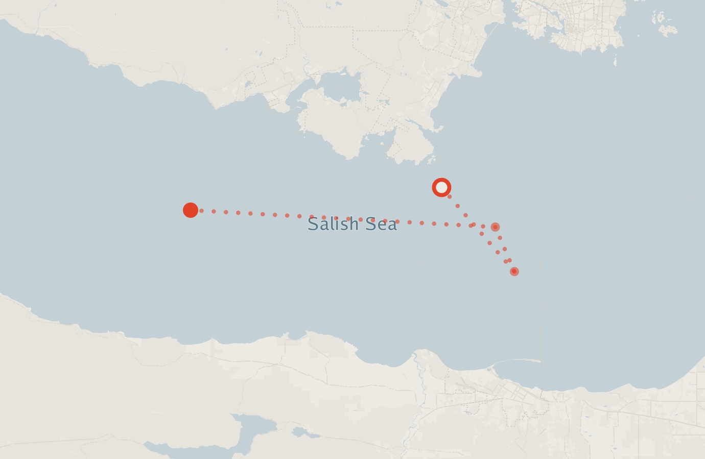 Activity map — real sighting points on an OpenStreetMap basemap
