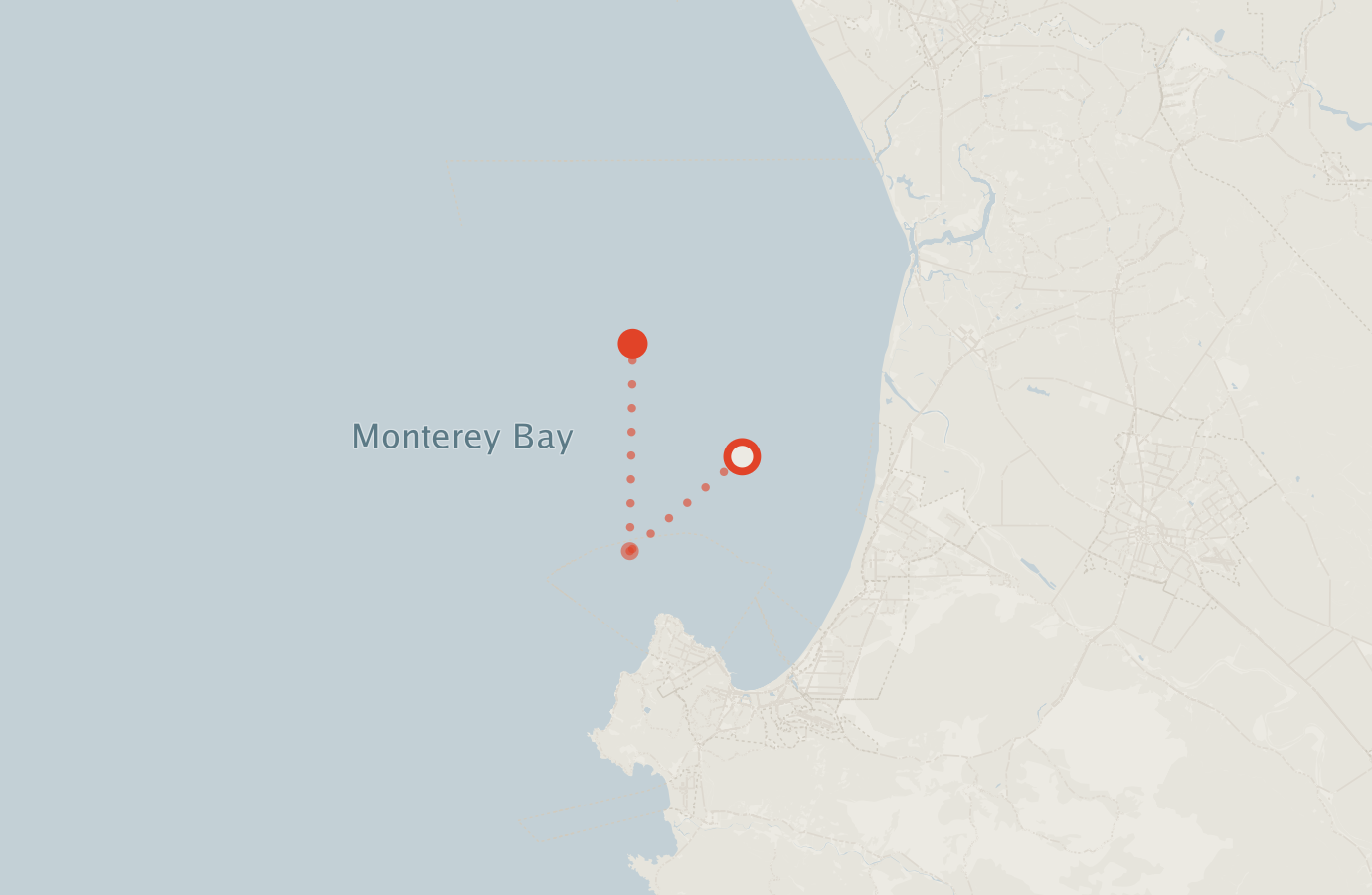 Activity map — real sighting points on an OpenStreetMap basemap