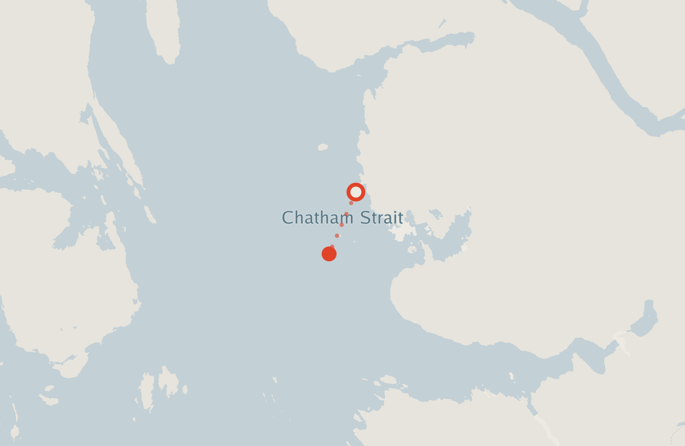 Activity map — real sighting points on an OpenStreetMap basemap