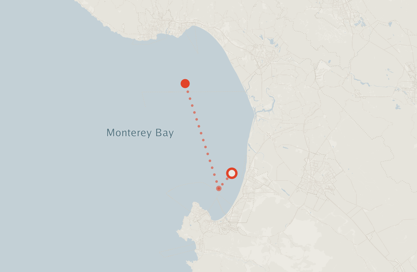 Activity map — real sighting points on an OpenStreetMap basemap