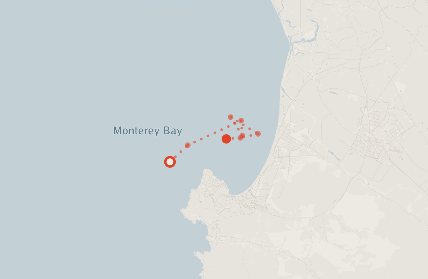 Activity map — real sighting points on an OpenStreetMap basemap