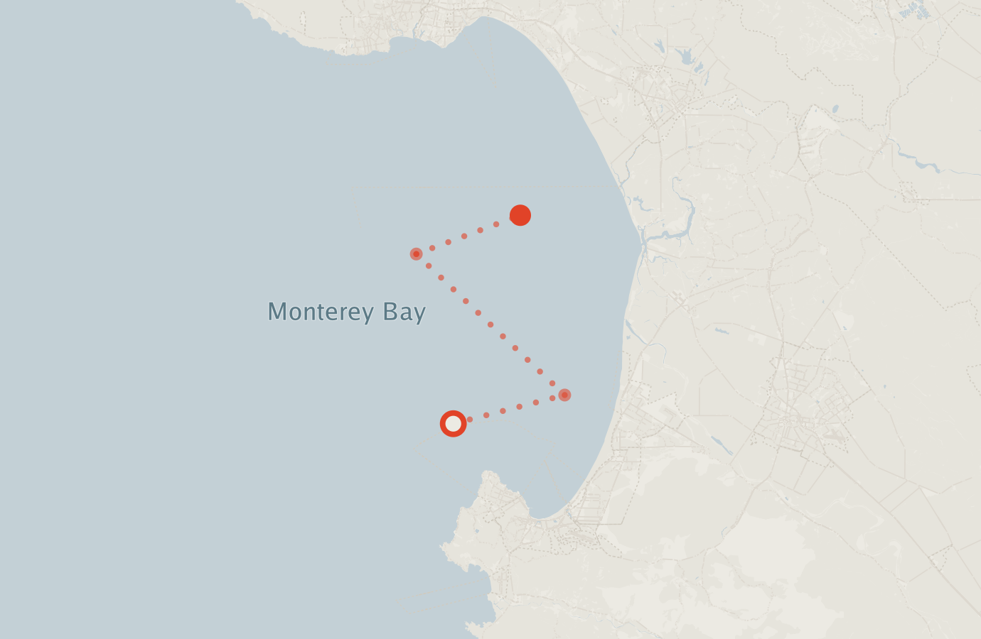 Activity map — real sighting points on an OpenStreetMap basemap