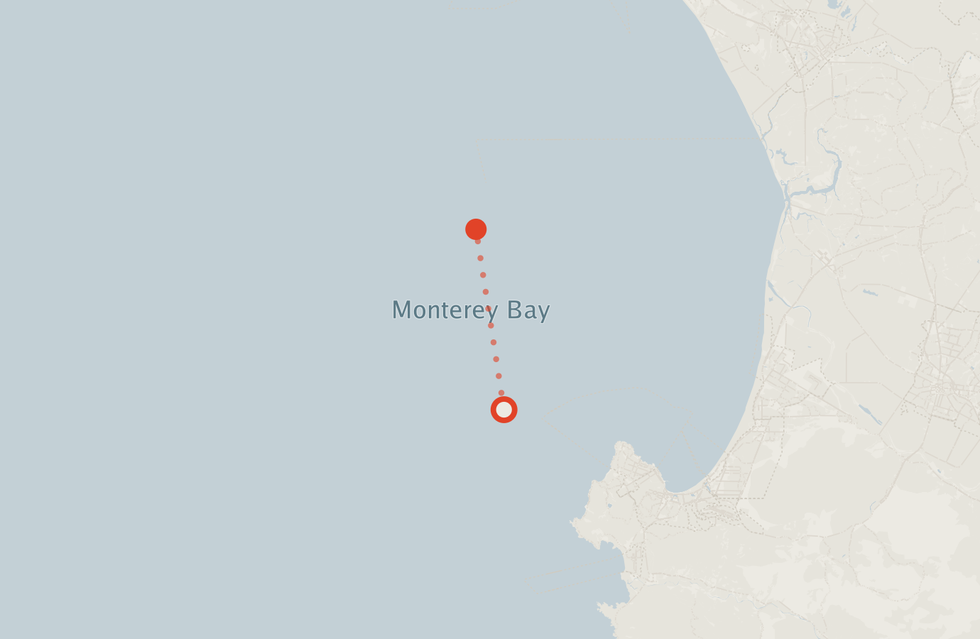 Activity map — real sighting points on an OpenStreetMap basemap