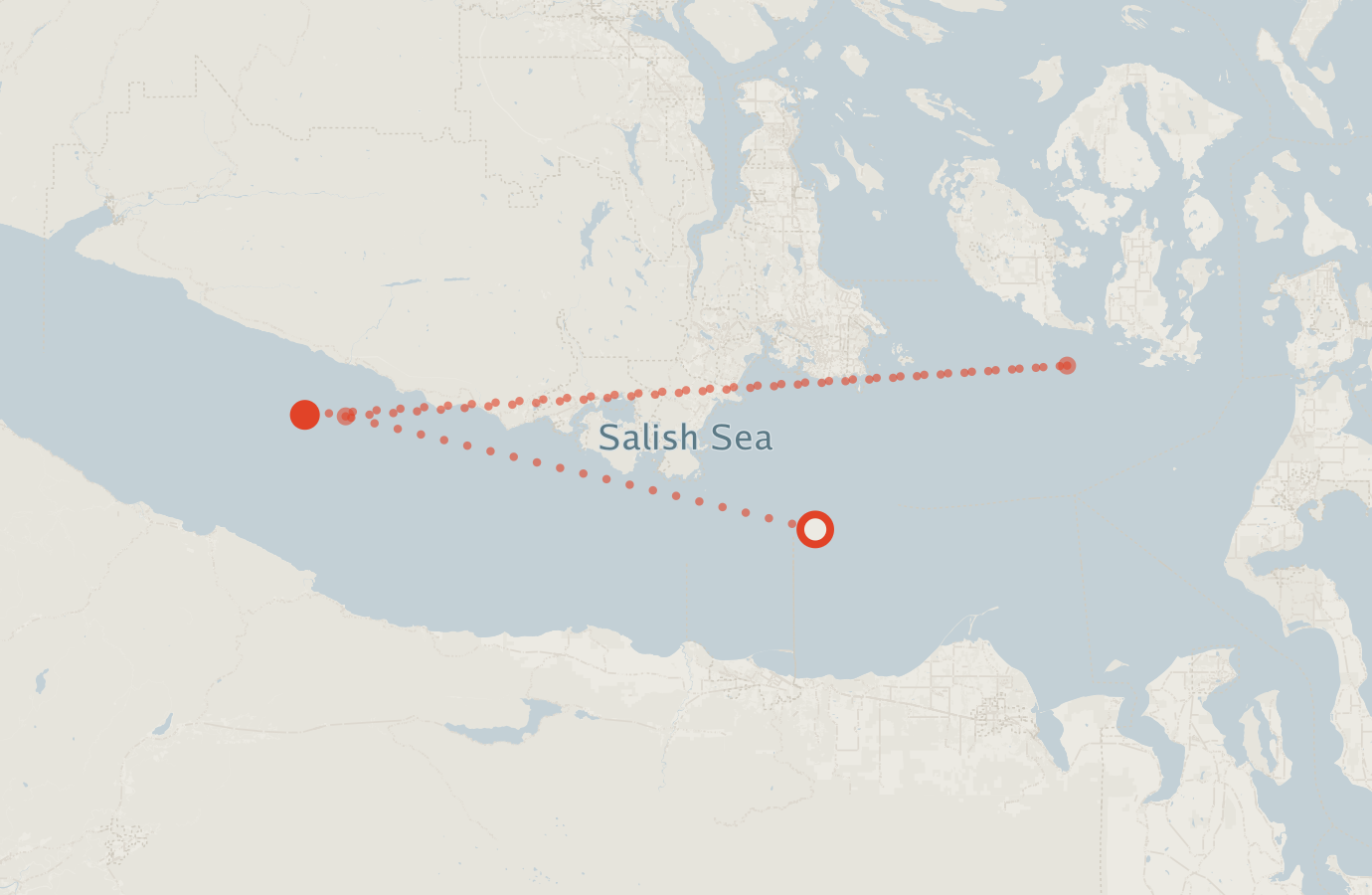 Activity map — real sighting points on an OpenStreetMap basemap