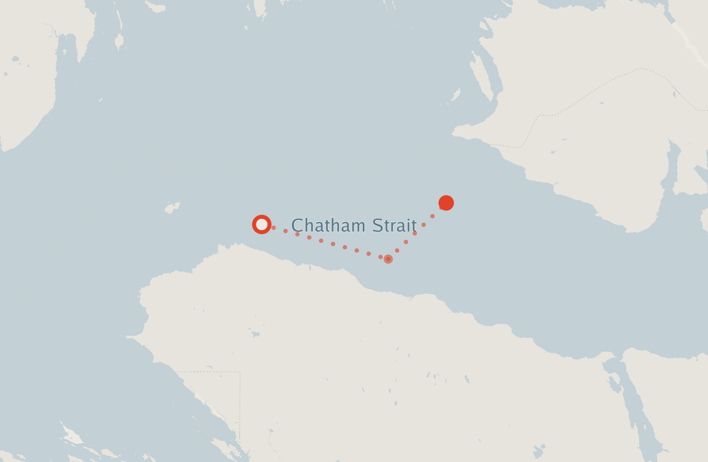 Activity map — real sighting points on an OpenStreetMap basemap