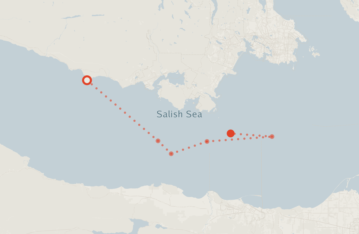 Activity map — real sighting points on an OpenStreetMap basemap