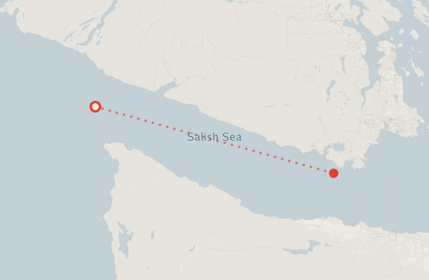 Activity map — real sighting points on an OpenStreetMap basemap
