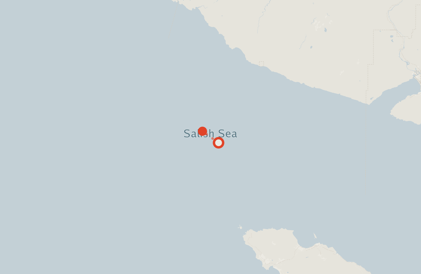 Activity map — real sighting points on an OpenStreetMap basemap