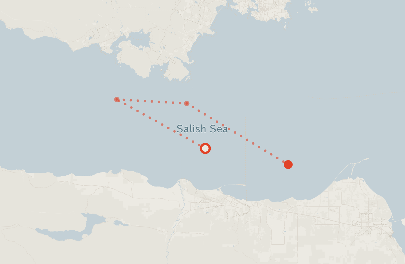 Activity map — real sighting points on an OpenStreetMap basemap