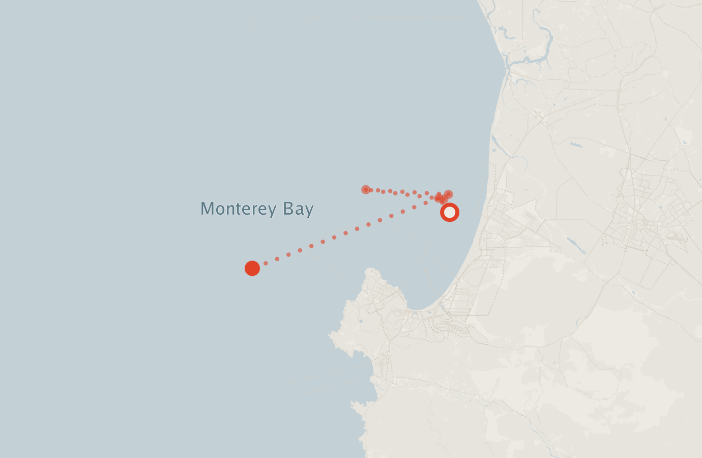 Activity map — real sighting points on an OpenStreetMap basemap