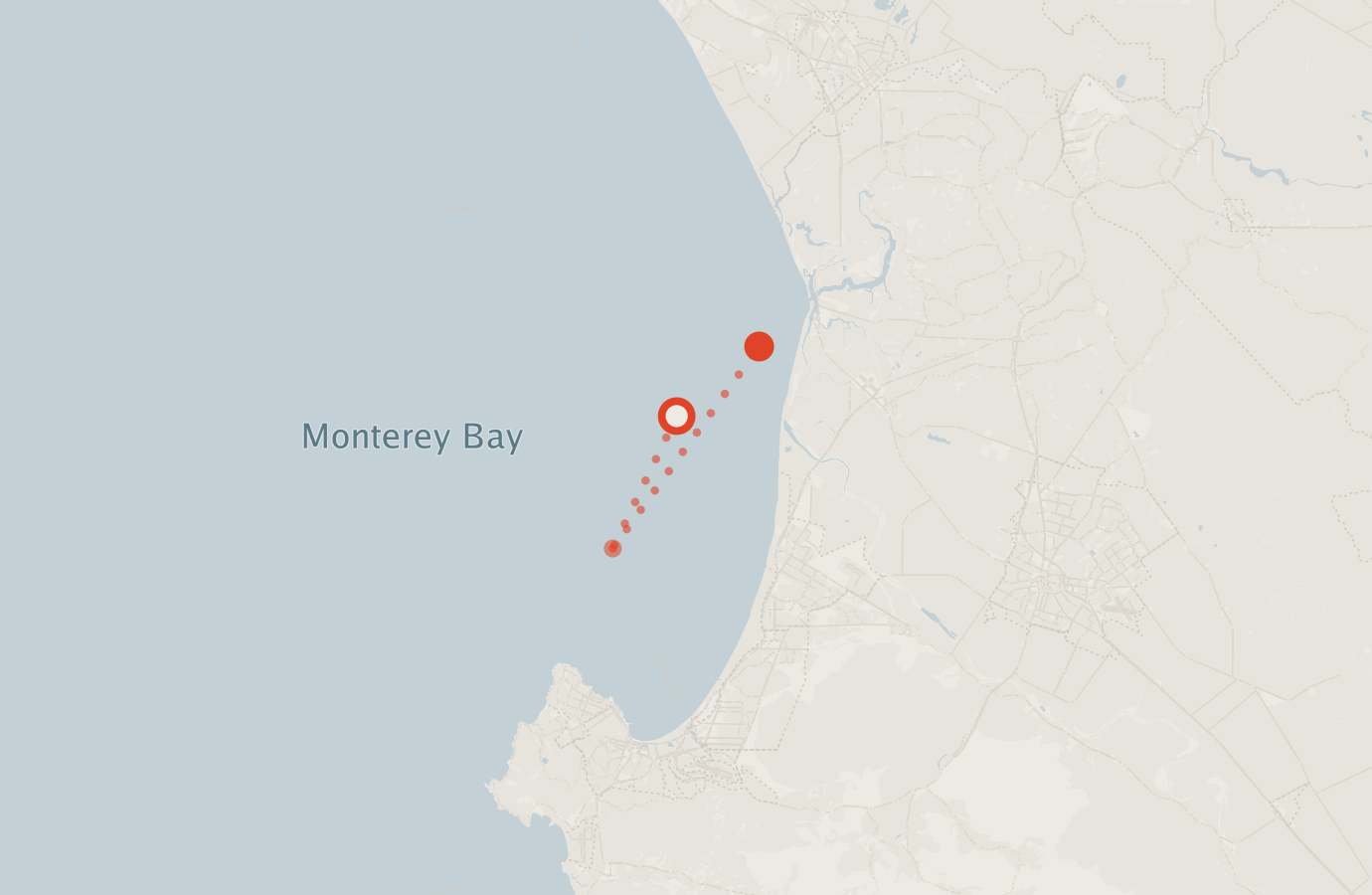 Activity map — real sighting points on an OpenStreetMap basemap