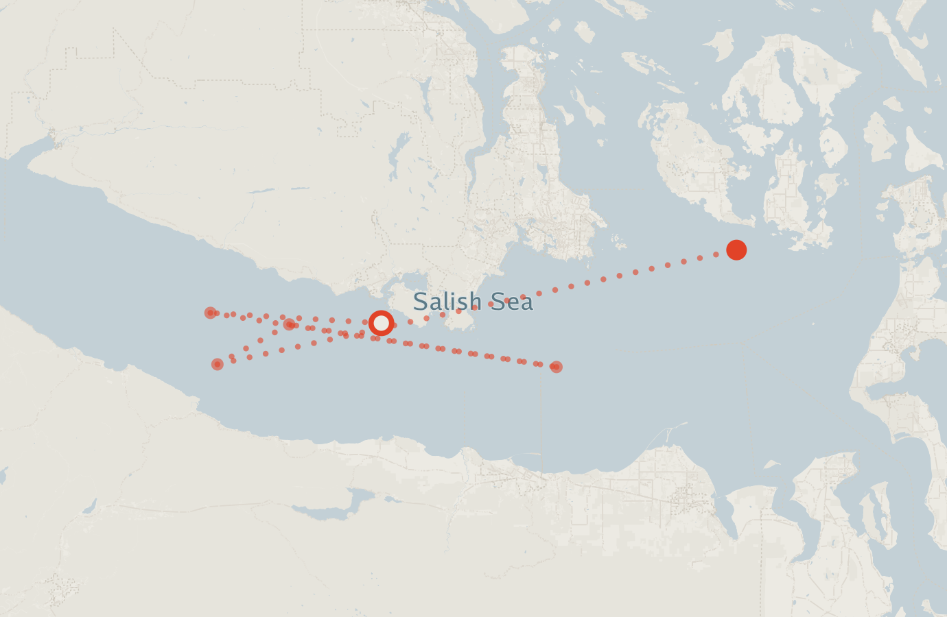 Activity map — real sighting points on an OpenStreetMap basemap