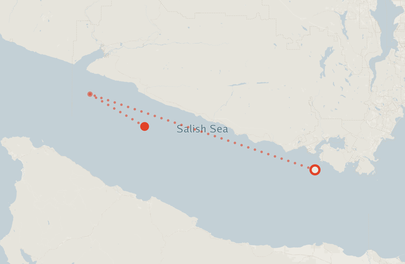 Activity map — real sighting points on an OpenStreetMap basemap